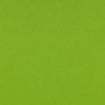 HOP 12" x 12" Kaleidoscope Card 270 gsm - Apple Green matte